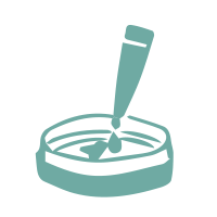 Cultivo de secreciones