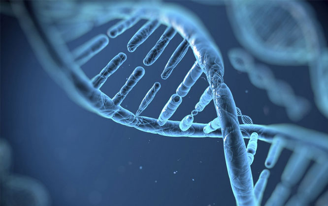 Laboratorio Clínico