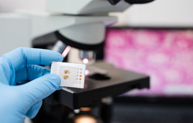 Laboratorio Clínico